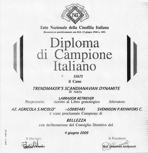 maverik-campione-italia-2009