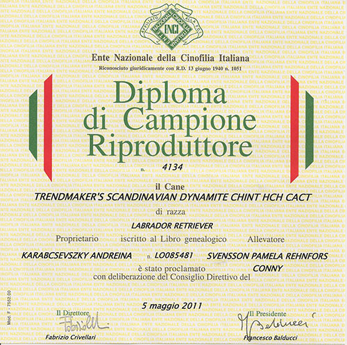 maverik-campione-riproduttore-2011