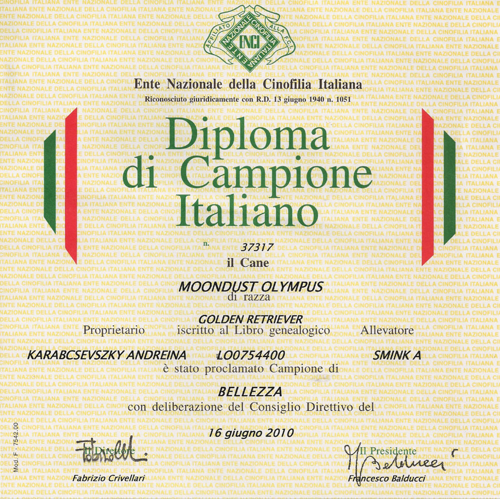 attestato-campione-bellezza-2010