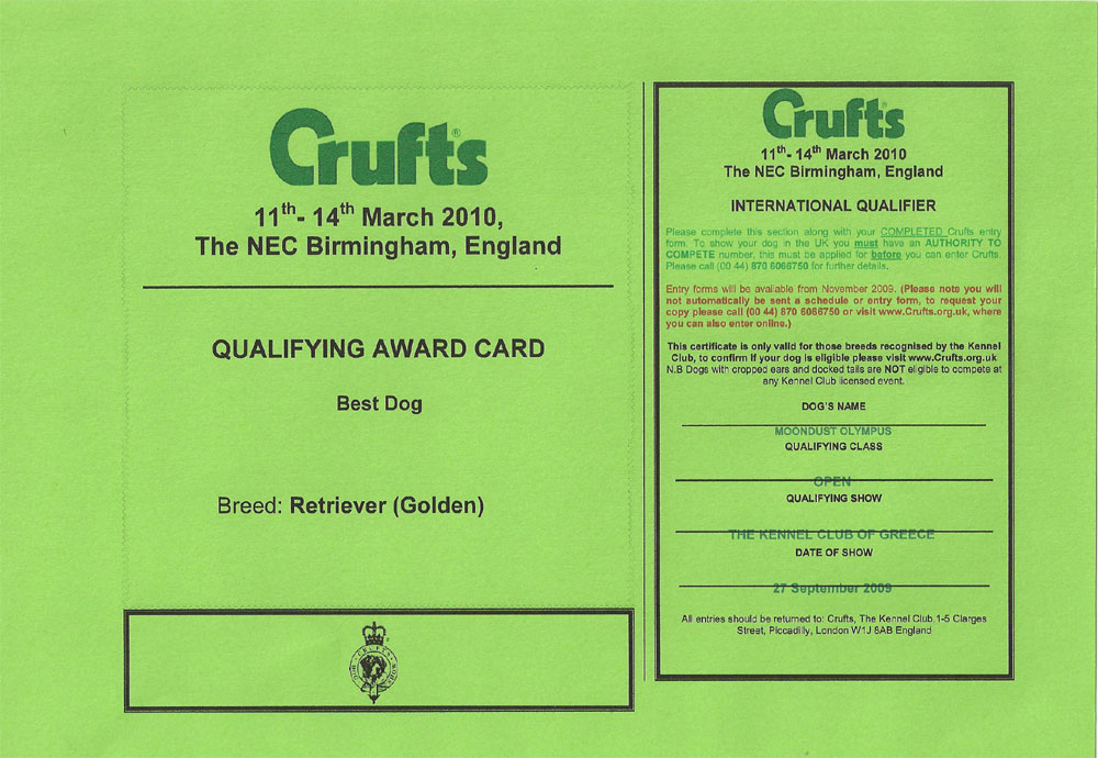 attestato-crufts-best-dog-2010