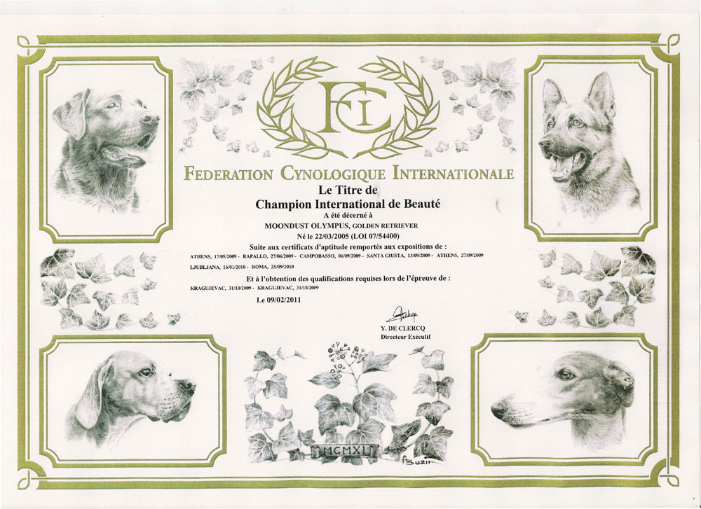 attestato-fci-champion-international-beaute-2011