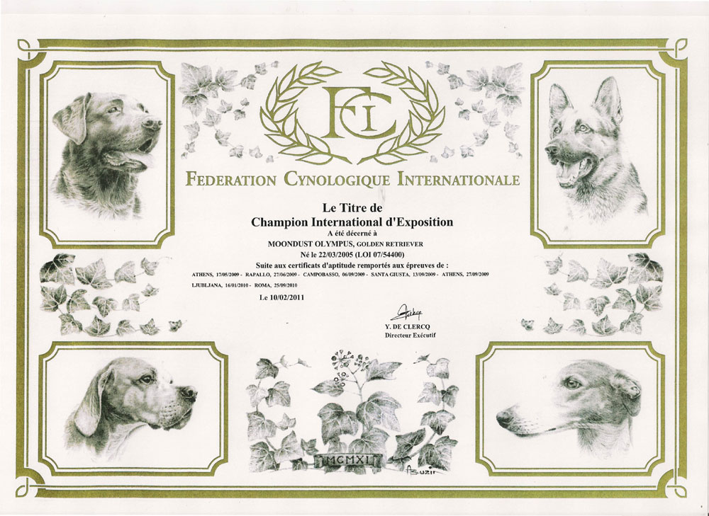 attestato-fci-champion-international-exposition-2011