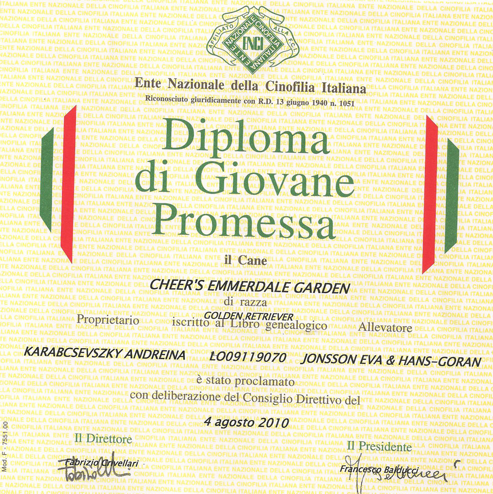 attestato-giovane-promessa-2010