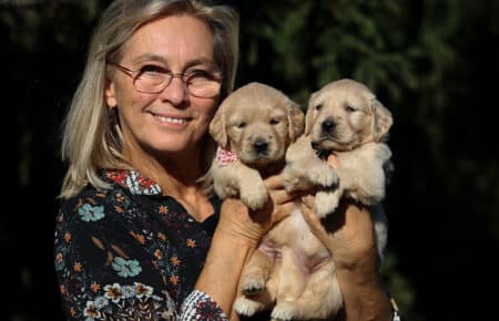 TISHA CUCCIOLI DI GOLDEN RETRIEVER FEMMINE COLLARINO ROSA E NERO 0772