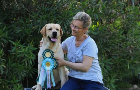 05 premiazione cane labrador retriever