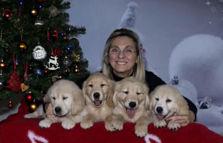 ESMECUCCIOLA DI GOLDEN RETRIEVER FEMMINE 1