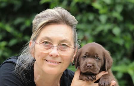CONNIE CUCCIOLI FEMMINA LABRADOR CHICOLATE 6257
