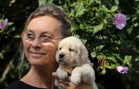 STELLA CUCCIOLA FEMMINA DI GOLDEN RETRIEVER 6538