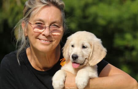 AFRODITE CUCCIOLA FEMMINA DI GOLDEN RETRIEVER 7853