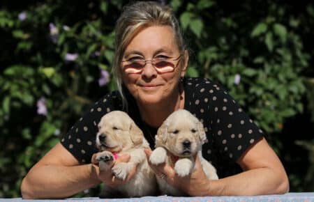MINOU CUCCIOLI DI GOLDEN RETRIEVER SAN NICOLO 6725