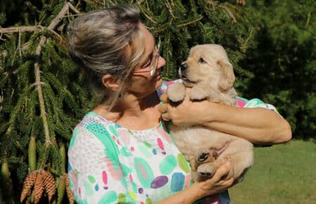 AMELIE CUCCIOLO MASCHIO GOLDEN RETRIEVER SAN NICOLO 8390