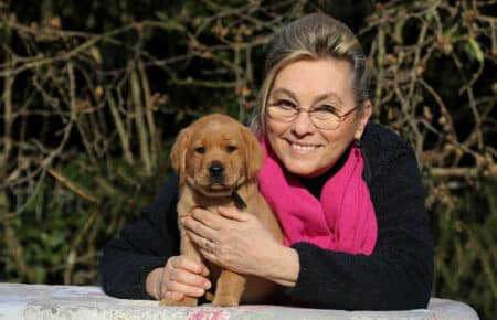 MINA CUCCIOLI DI LABRADOR FOXRED DI SAN NICOLO 0849