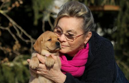 MINA CUCCIOLI DI LABRADOR FOXRED DI SAN NICOLO 0880