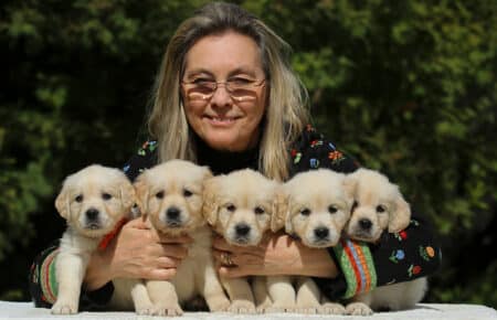 LUCY CUCCIOLI FEMMINE DI GOLDEN RETRIEVER SAN NICOLO 1912