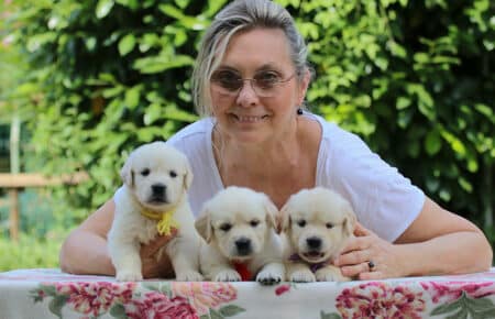 BRENDA CUCCIOLI DI GOLDEN RETRIEVER MASCHIO SAN NICOLO 3363