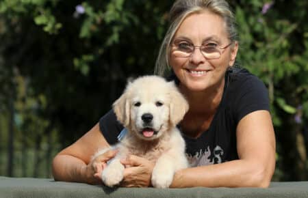 JENIFFER CUCCIOLI DI GOLDEN RETRIEVER SAN NICOLO 3945
