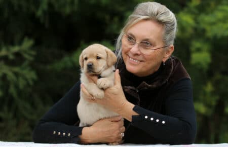 REDMOON CUCCIOLO MASCHIO DI LABRADOR SAN NICOLO 4602