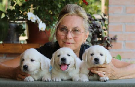 SWEETY CUCCIOLI DI GOLDEN RETRIEVER SAN NICOLO 4212