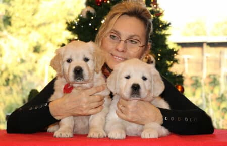 MARILYN CUCCI0OLI FEMMINE GOLDEN RETRIEVER SAN NICOLO 5543