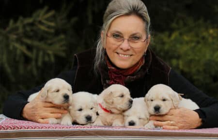 MARILYN CUCCIOLI DI GOLDEN RETRIEVER SAN NICOLO 5077