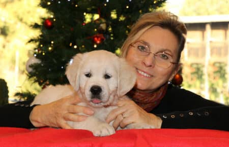 MARILYN CUCCIOLO MASCHIO COLLARE NERO GOLDEN RETRIEVER SAN NICOLO 5506