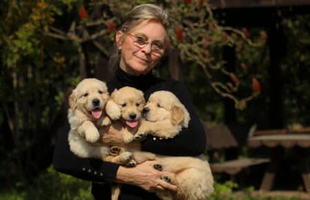 LILIBETH CUCCIOLI DI GOLDEN RETRIEVER SAN NICOLO 7253