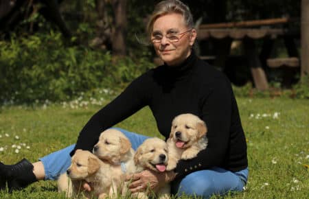 LILIBETH CUCCIOLI DI GOLDEN RETRIEVER SAN NICOLO 7262 2