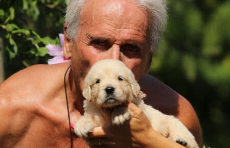 LUNA CUCCIOLI DI GOLDEN RETRIEVER SAN NICOLO 8481