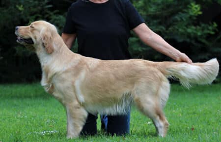 BABETTE 7473
