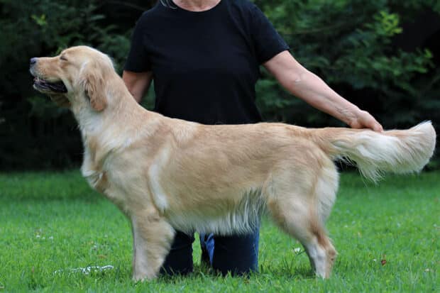 BABETTE 7473